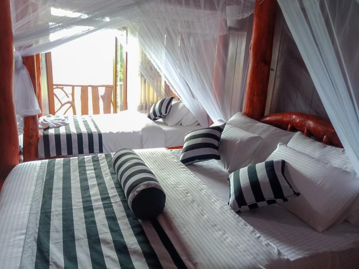 Chill Wood Homestay Ella Extérieur photo